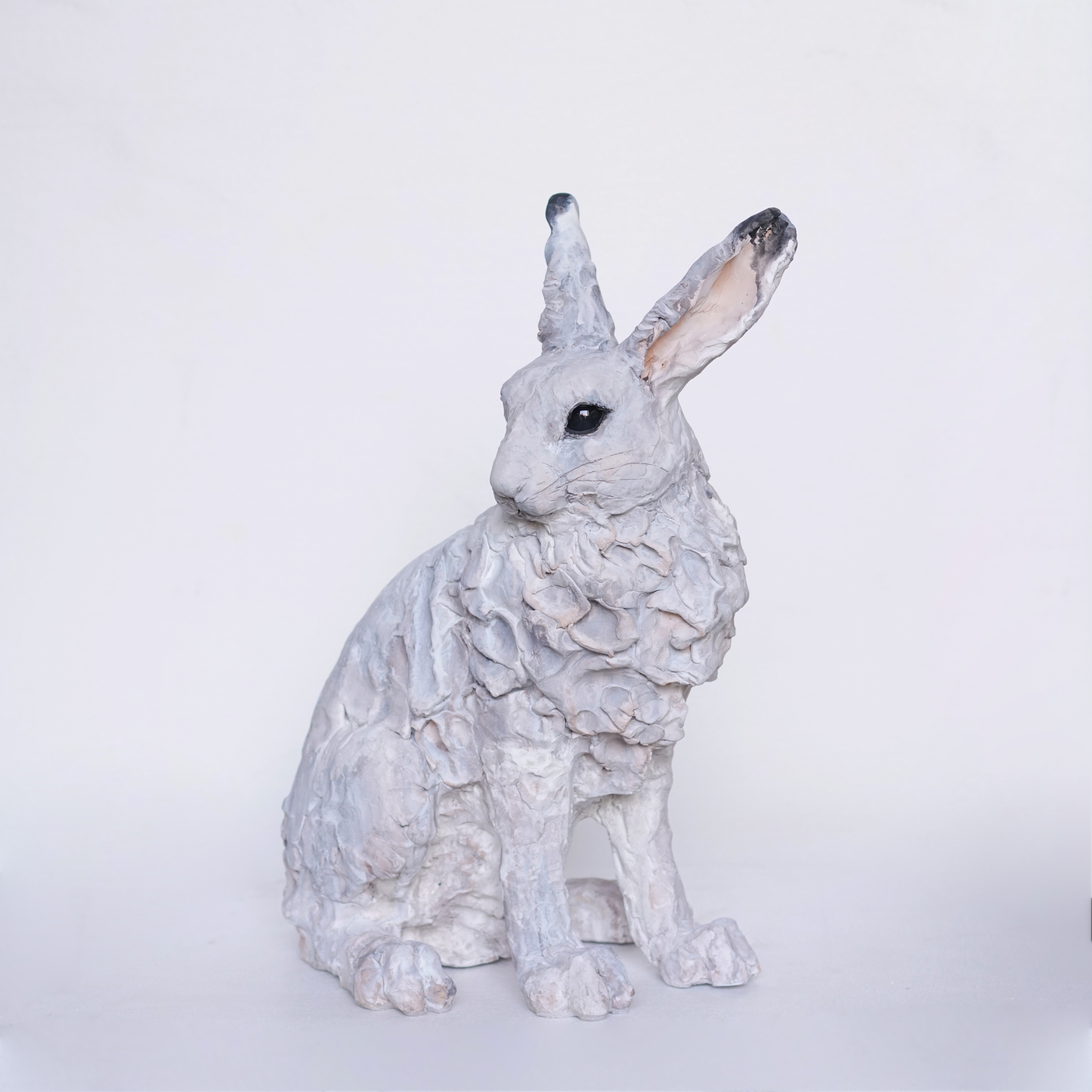 瀬戸優 出展作品《Arctic point - ホッキョクウサギ -》