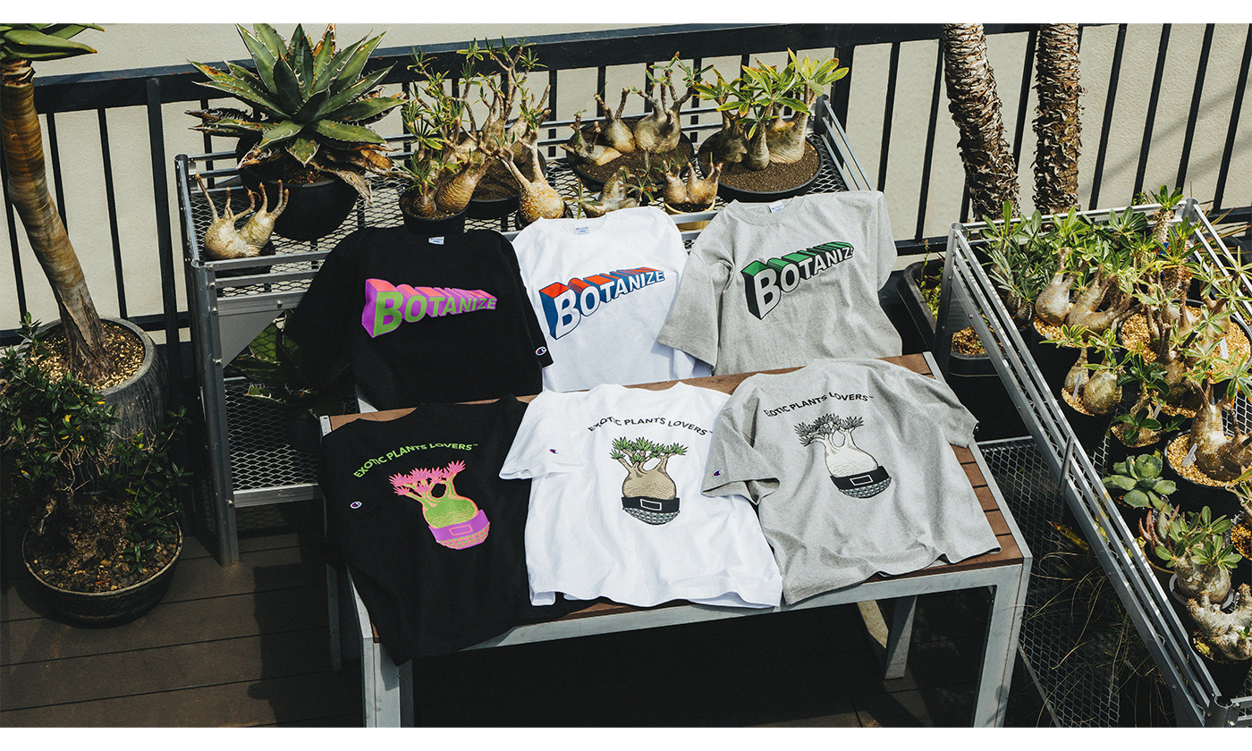 チャンピオン、コーデックスと呼ばれる塊根植物の火付け役、「BOTANIZE」とコラボレーション