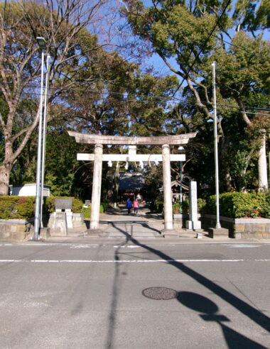 今日のパスワード #1　「おみくじとか占いとか」