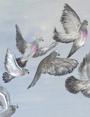 ＜News＞トム・ミッシュ 最新EP「SIX SONGS」リリース。来年にはニューアルバムも。