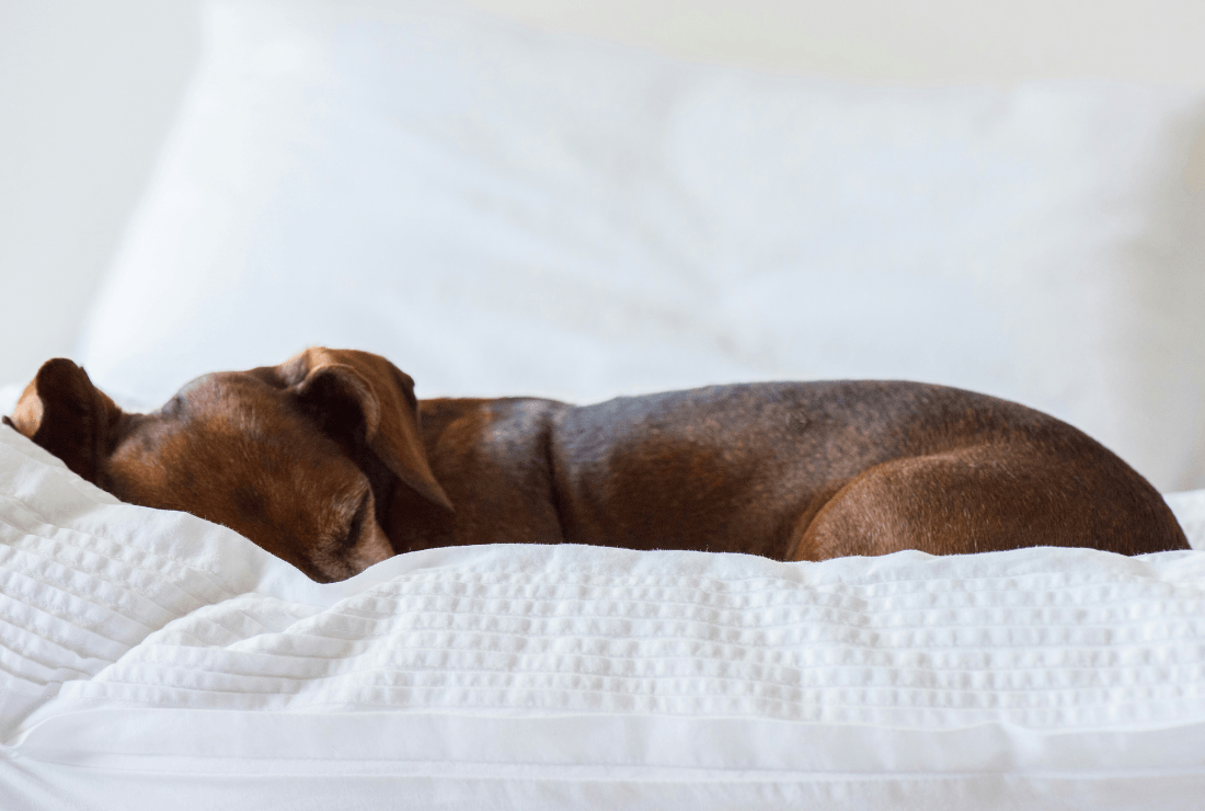 「一緒にいるから大丈夫」は思い込みかもしれない