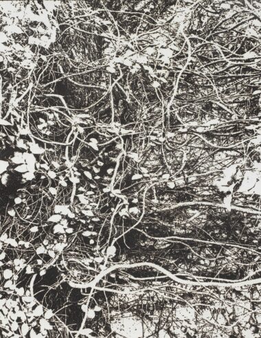 線香で画を描くアーティスト市川孝典、個展「FLEETING DAYS」の開催が決定